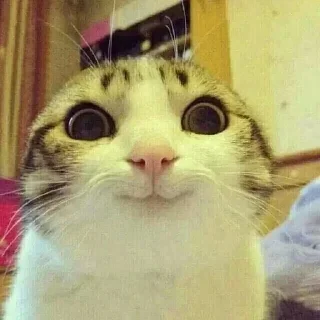 🙂