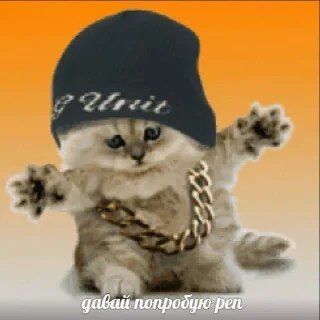 😎