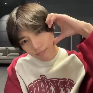 🐻
