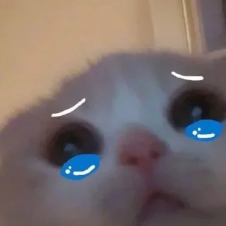 😢