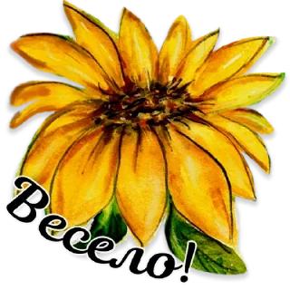 🌻