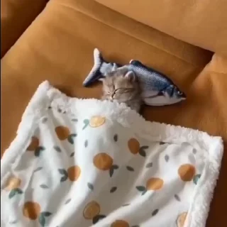 😴