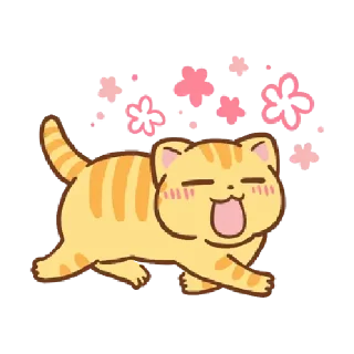 🐱