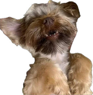 😆