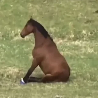 🌊