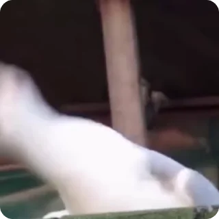 😂