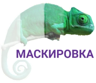 🦎