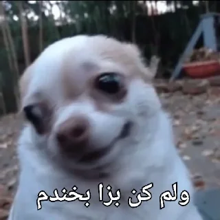 😕