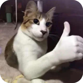 👍