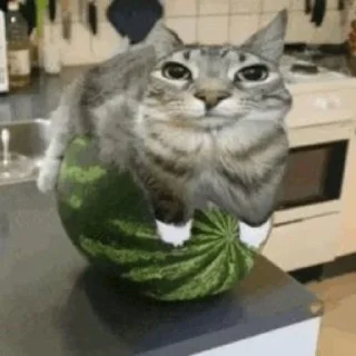 😶