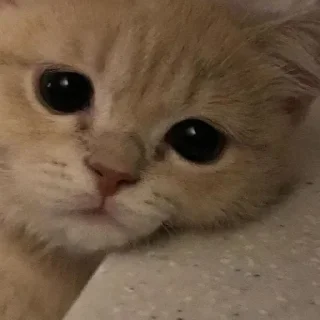 😕