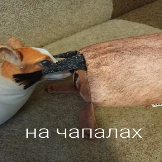 😡