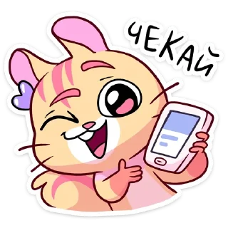 📱
