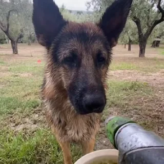 😡