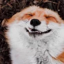 😁