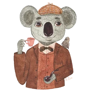 🐨