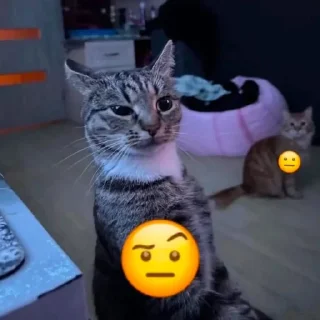 🤨