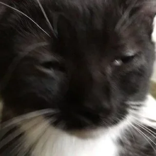 😭