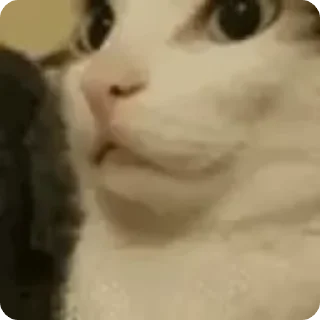 🤫