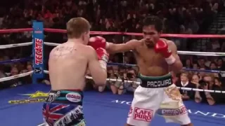 🥊