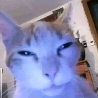 🤔