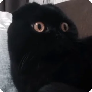 😧