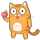 🐱