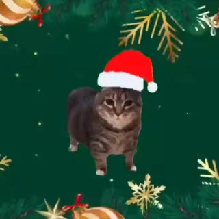 🎅