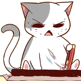 🐈