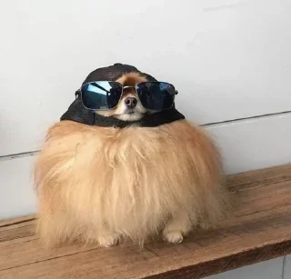 😎