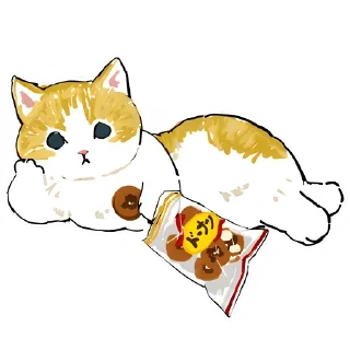 🍪