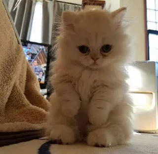 😍