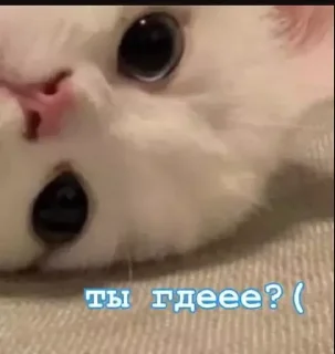 🔎