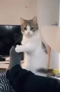 😌