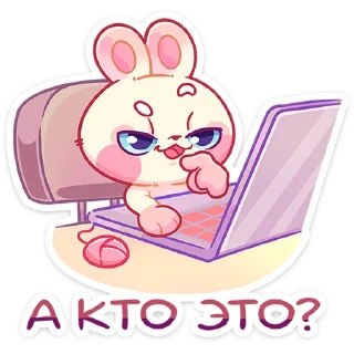👩‍💻