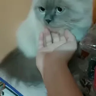 ☺️