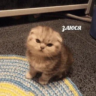 😠