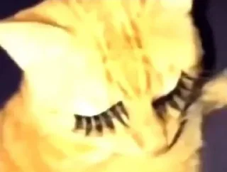😍