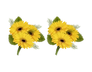 🌼
