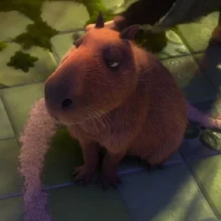 🦦