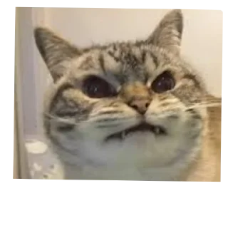 😡