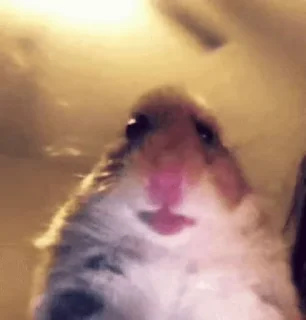 👋