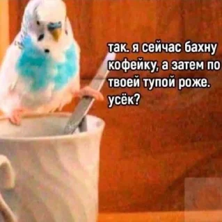 ☕