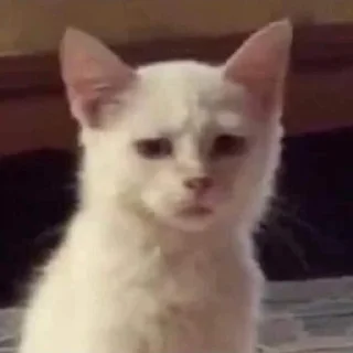 🤨