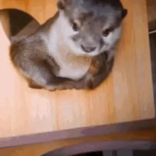 ☺️