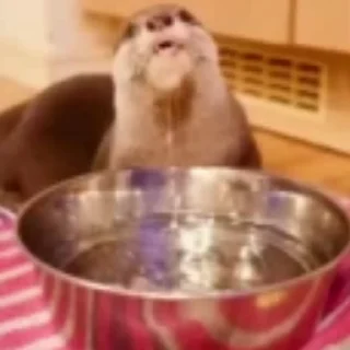 💦