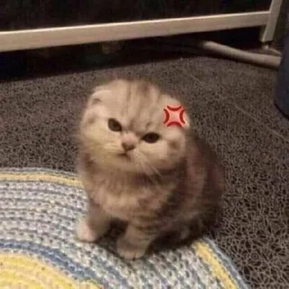 😠