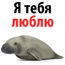 ❤