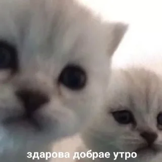 😕
