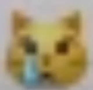 😿